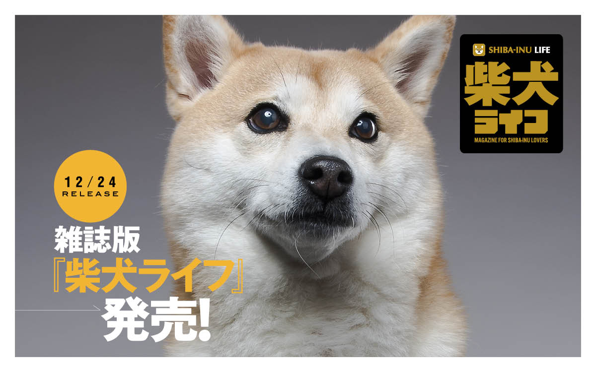 柴犬ライフ 2020 冬