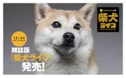 柴犬ライフ 冬号2020