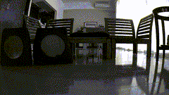 img_201703_4.gif