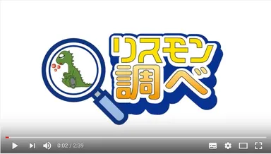 リスモン調べ動画画面キャプチャ