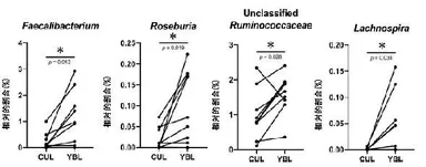 図2　酪酸産生菌の相対量に及ぼす大麦若葉エキスの影響