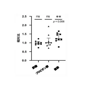 図3　大麦若葉エキスの有無による短鎖脂肪酸産生に及ぼす影響