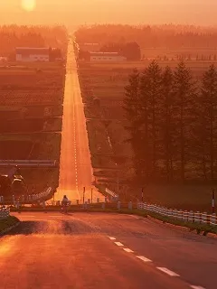 夕日の『オレンジOrange』