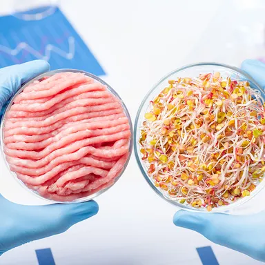 代替肉のハンバーガーや代替肉ミートボールのサンドイッチがメニューにあり、売れ行きは非常に好調のようです