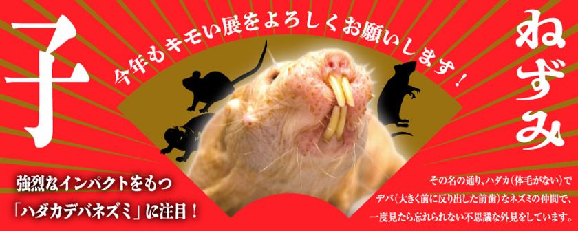 ねずみ年を記念して ハダカデバネズミを特別展示 広島パルコにて キモい展 好評開催中 広島キモい展実行委員会のプレスリリース