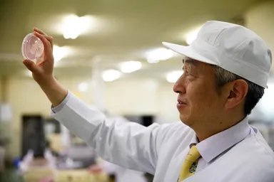 桜咲く　さくらゼリー(R)をチェックする社長の小国