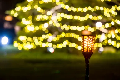 約5分間徐々に感覚が研ぎ澄まされ、深い眠りへと誘うようなステージをお楽しみください