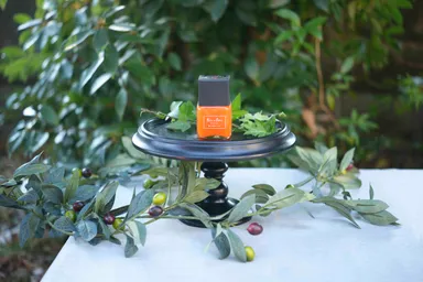 Poco a Poco イメージ3