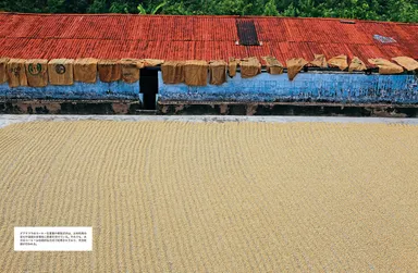 『ビジュアル スペシャルティコーヒー大事典 2ndEdition』