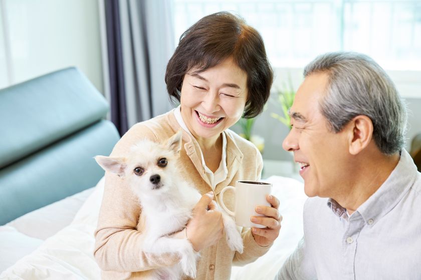 海外でも!ペットと一緒にお墓に入りたい人が急増中
麻布十番の納骨堂、問い合わせは 8 倍に