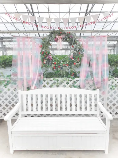 いちごのリース