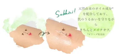 ツボクサレディ クレンジング特徴