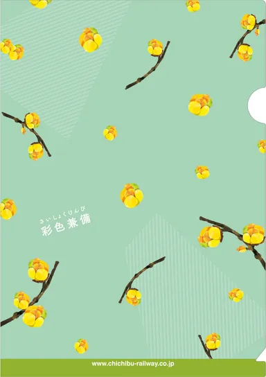 クリアファイルイメージ1