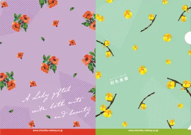 クリアファイルイメージ2