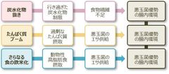 ＜知るほど得する大腸レポート 第2弾＞寝正月に暴飲暴食…年明けの過度なダイエットは不腸のもと？