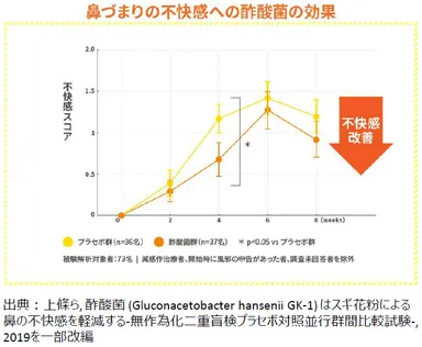 鼻づまりの不快感への酢酸菌の効果