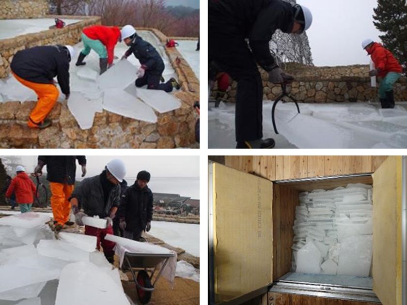 六甲山の冬の風物詩「氷の切り出し」
暖冬のため大寒の日1月20日（月）の開催延期