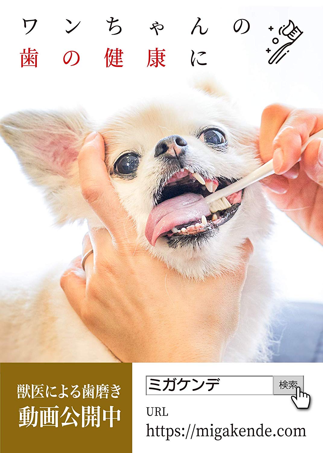 ワンちゃんもうっとり 柔らかいブラシでお口のマッサージ 日本初 天然毛を使ったペット用歯ブラシが人気 有限会社多葉ブラシ工業所のプレスリリース ワンちゃんもうっとり 柔らかいブラシでお口のマッサージ 日本初 天然毛を使ったペット用歯ブラシが人気 有限会社多葉ブラシ工業所のプレスリリース