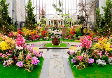 淡路夢舞台温室「奇跡の星の植物館」ラン展(イメージ)