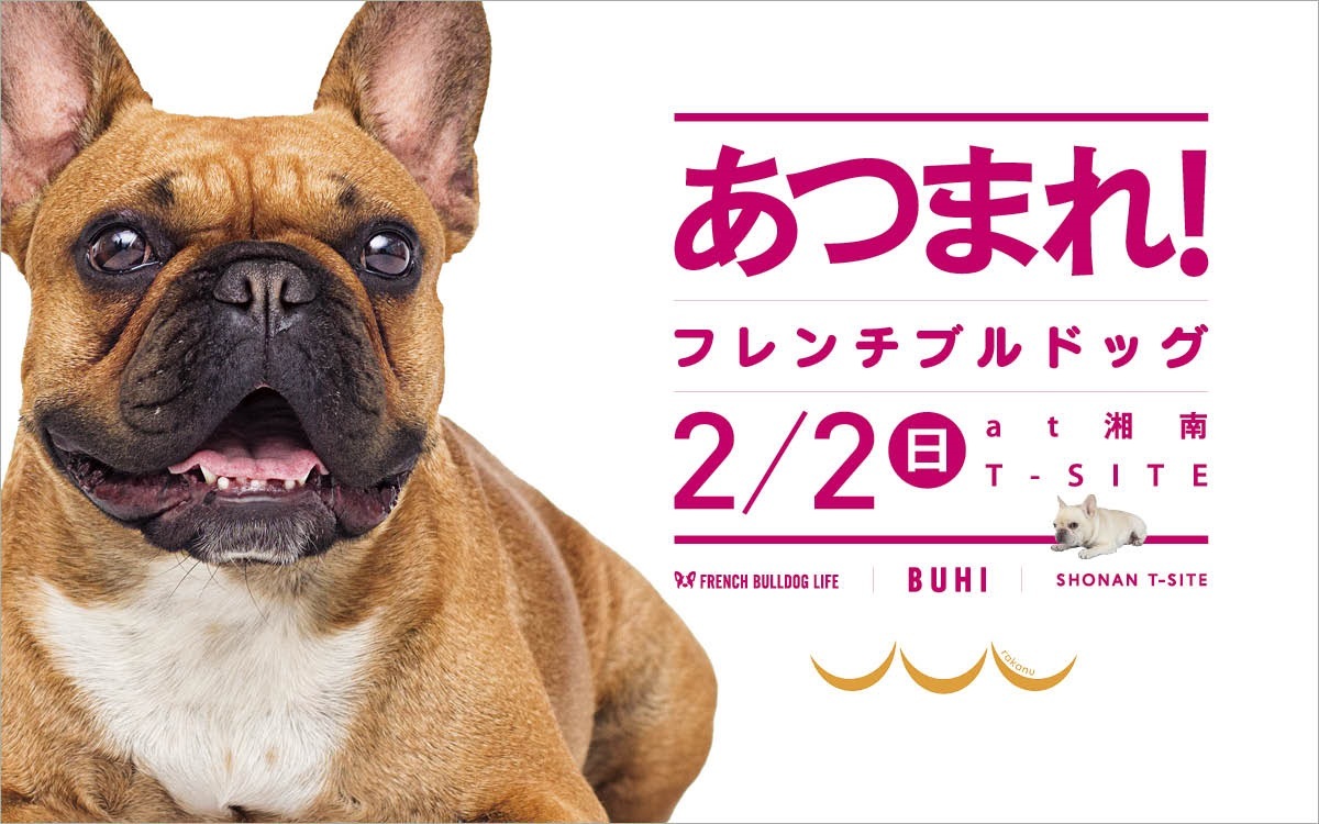Rakanu 2月2日 日 に湘南t Siteでリアルイベント あつまれ フレンチブルドッグ を開催 Rakanu株式会社のプレスリリース