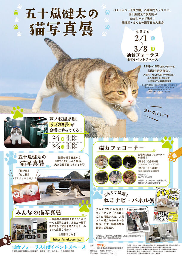五十嵐健太の 飛び猫 写真展が宮城仙台市 女川町で開催決定 猫