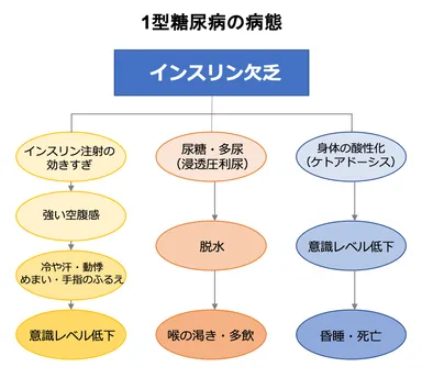 1型糖尿病の病態