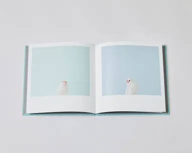 写真集『BECKBOOK』書影_9