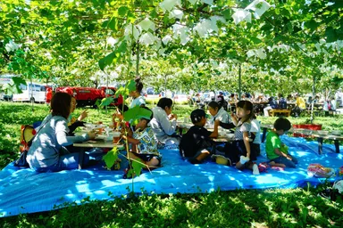 農業体験イベントの様子