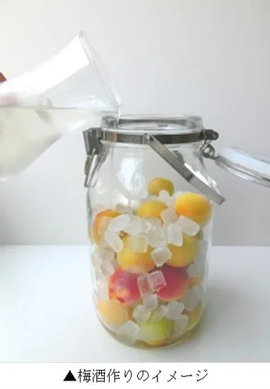 梅酒作りのイメージ