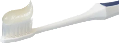 ペーストイメージ