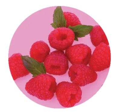 リフレッシュミント