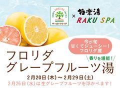 今が旬！フロリダグレープフルーツが堪能できるコラボ！グレープフルーツの香り湯を極楽湯・RAKU SPA 直営10店舗にて展開！2月26日には生グレープフルーツを投入する他、期間限定コラボが登場