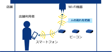 本実験のイメージ図