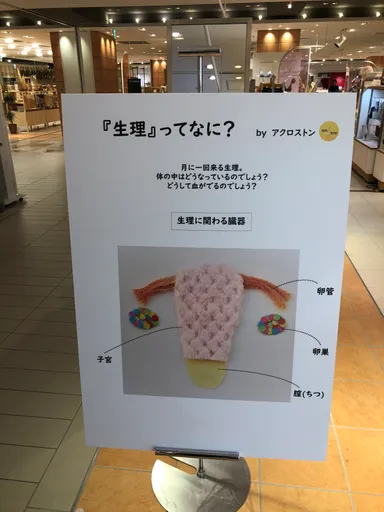 生理ってなに？