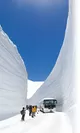 除雪してできる雪の壁「雪の大谷」