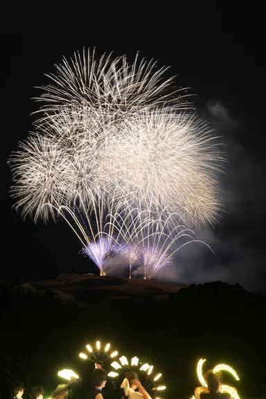 なら瑠璃絵／奈良公園バースデー花火