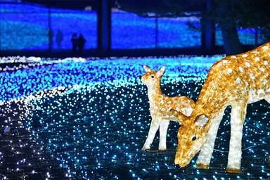 なら瑠璃絵／奈良春日野国際フォーラム 甍～I・RA・KA～