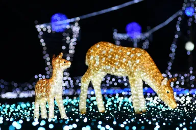 なら瑠璃絵／奈良春日野国際フォーラム 甍～I・RA・KA～