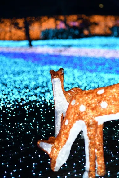 なら瑠璃絵／奈良春日野国際フォーラム 甍～I・RA・KA～