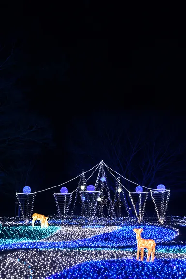 なら瑠璃絵／奈良春日野国際フォーラム 甍～I・RA・KA～