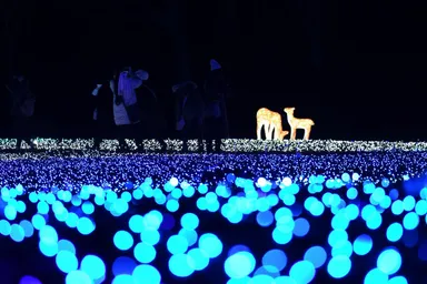 なら瑠璃絵／奈良春日野国際フォーラム 甍～I・RA・KA～