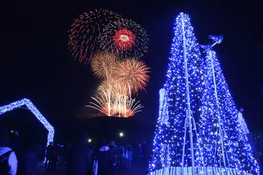 なら瑠璃絵／奈良公園バースデー花火