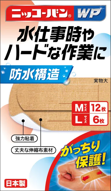 M12L6：450円
