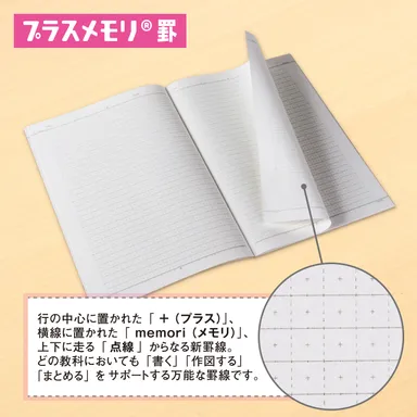 プラスメモリ罫