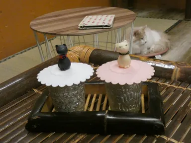 猫の蓋つきドリンク