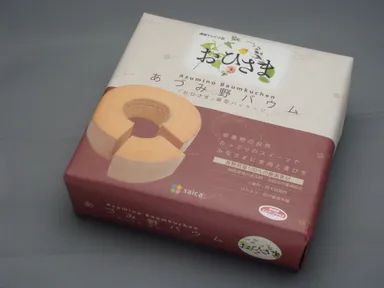 パッケージ外装