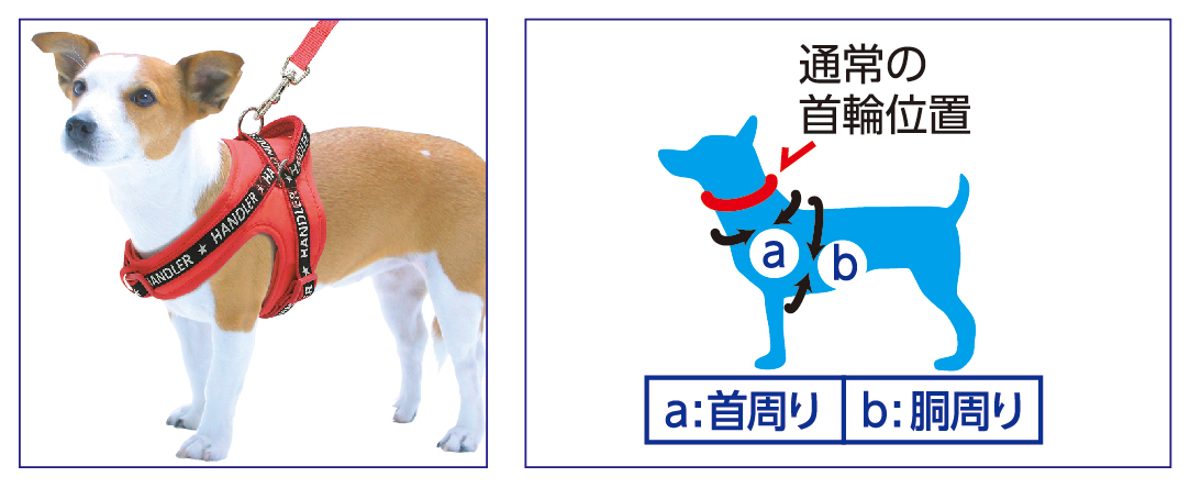 ☆ アースペットTK HD愛情胴輪SportEX. 緑 L サイズ 469