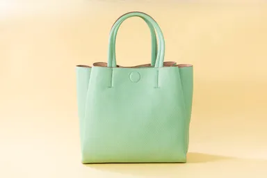 2WAYマグネットトートMini/コレックス イン