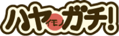 “「シャッター商店街」「買い物難民」を解決へ”　
キーワードは時間と行動範囲　インターネット情報提供サービス『ハヤガチ』