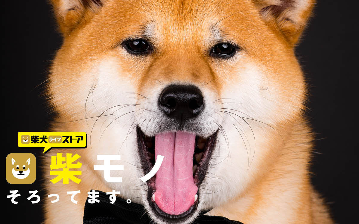 Rakanu 柴犬特化メディア Shiba Inu Life のオンラインストア 柴犬ライフストア をオープン Rakanu株式会社のプレスリリース